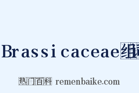 Brassicaceae组词是什么意思的图片